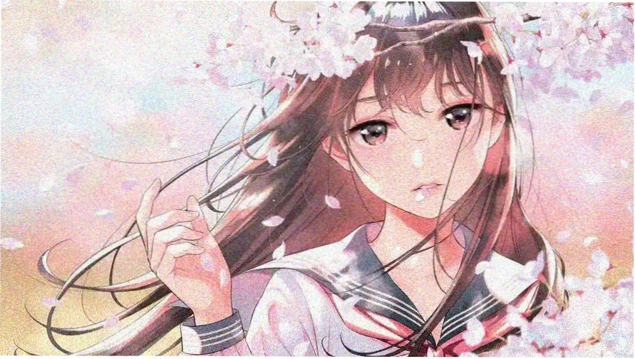 海贼王剧场版票房档案主题横幅